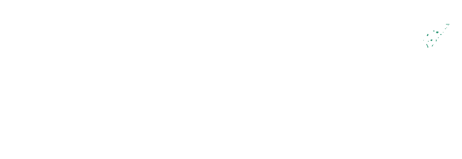 AtlasX Logo Branco